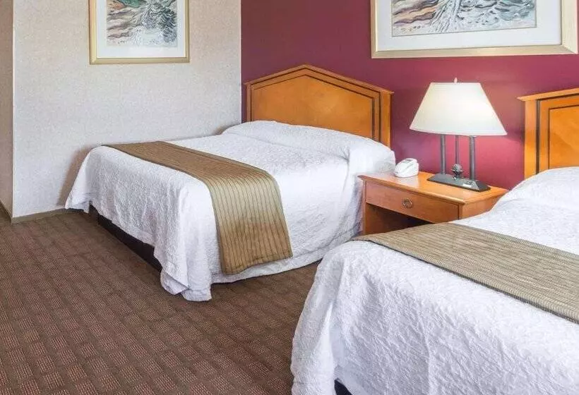 モーテル Elite Inn