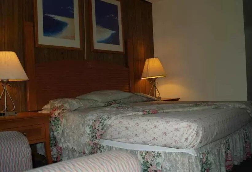 汽车旅馆 Parkview Motor Lodge