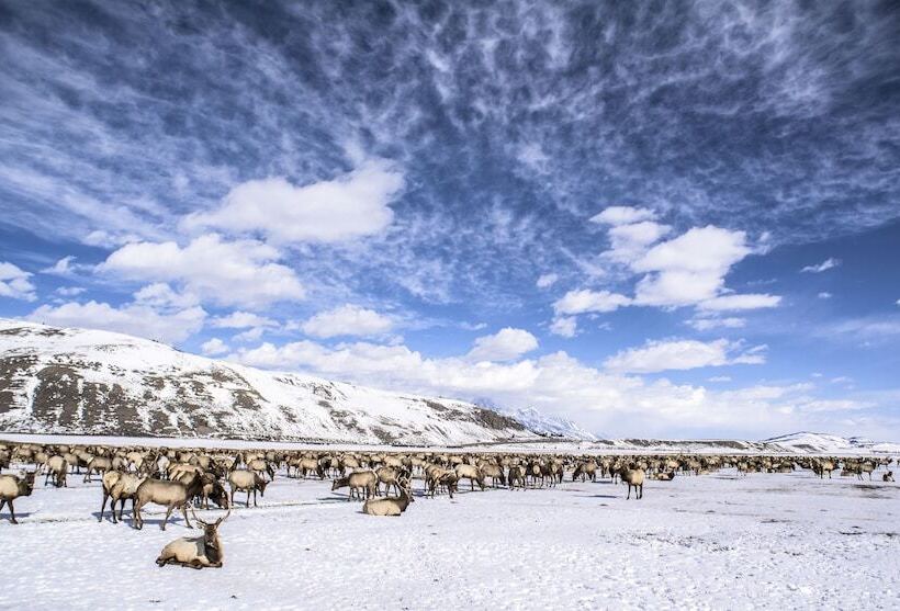 هتل Mountain Modern Jackson Hole