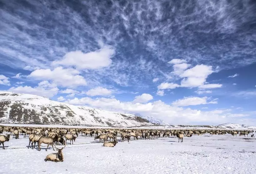 בית מלון כפרי Mountain Modern Jackson Hole