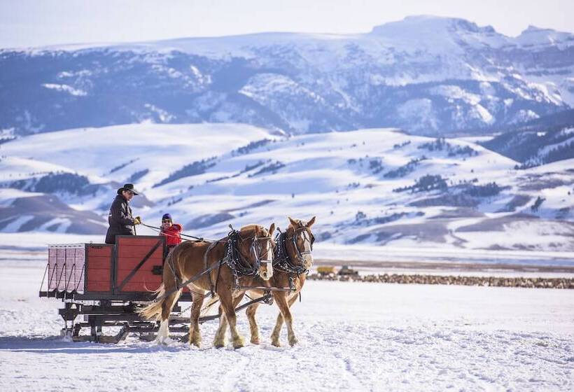 هتل Mountain Modern Jackson Hole