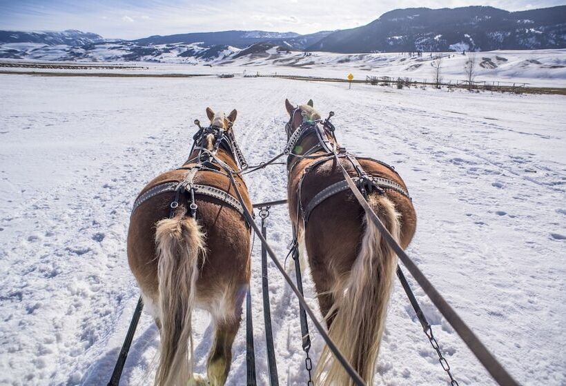 هتل Mountain Modern Jackson Hole