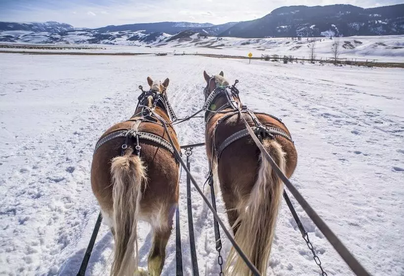 בית מלון כפרי Mountain Modern Jackson Hole