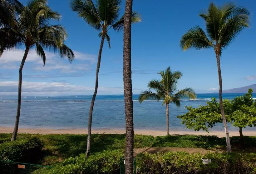 리조트 Puunoa Beach Estates