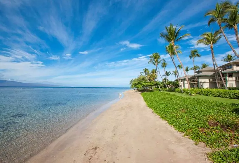 리조트 Puunoa Beach Estates