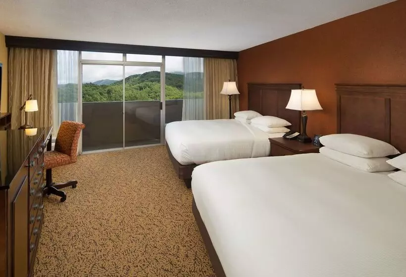 リゾートホテル The Park Vista A Doubletree By Hilton Hotel Gatlinburg