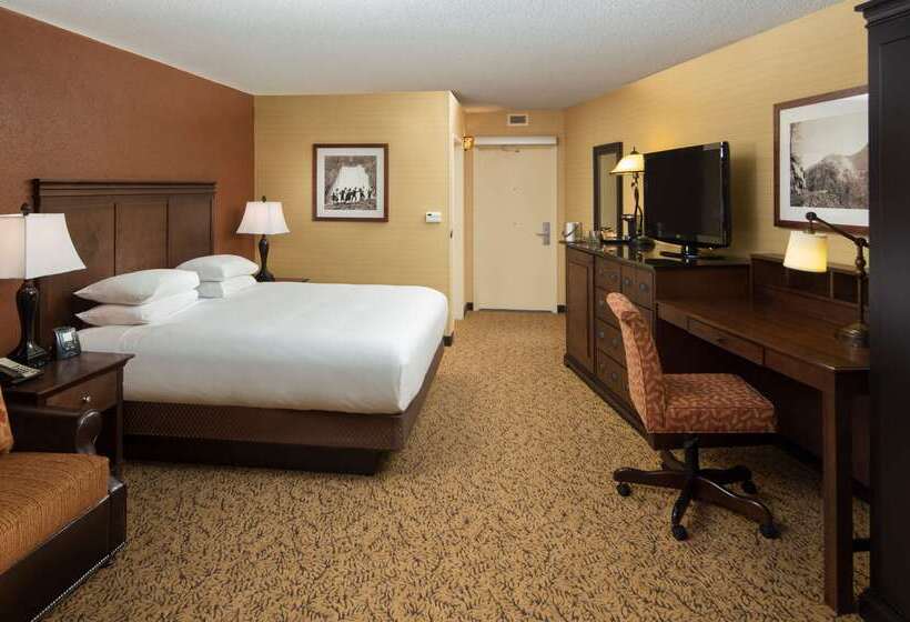 منتجع The Park Vista   A Doubletree By Hilton Hotel   Gatlinburg