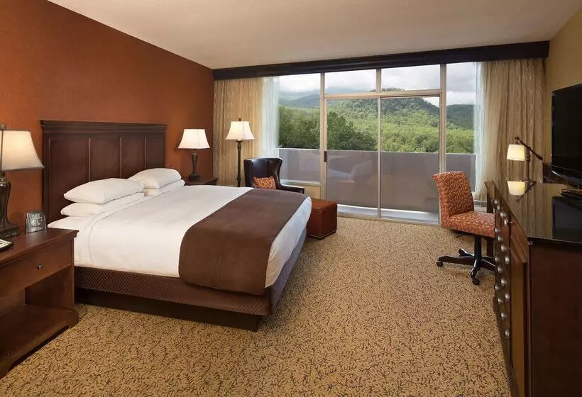 リゾートホテル The Park Vista A Doubletree By Hilton Hotel Gatlinburg