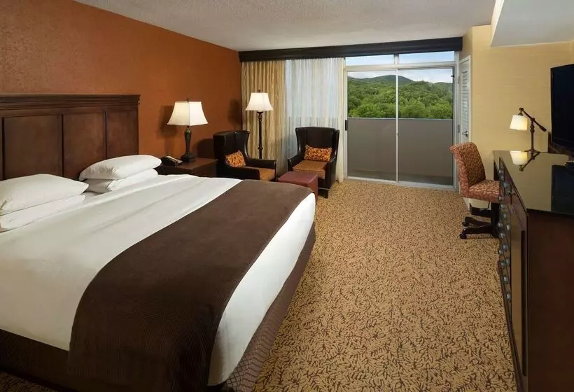 リゾートホテル The Park Vista A Doubletree By Hilton Hotel Gatlinburg