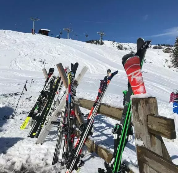 ユースホステル Chez Gaby 1670