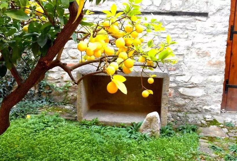 پانسیون Castlehouse