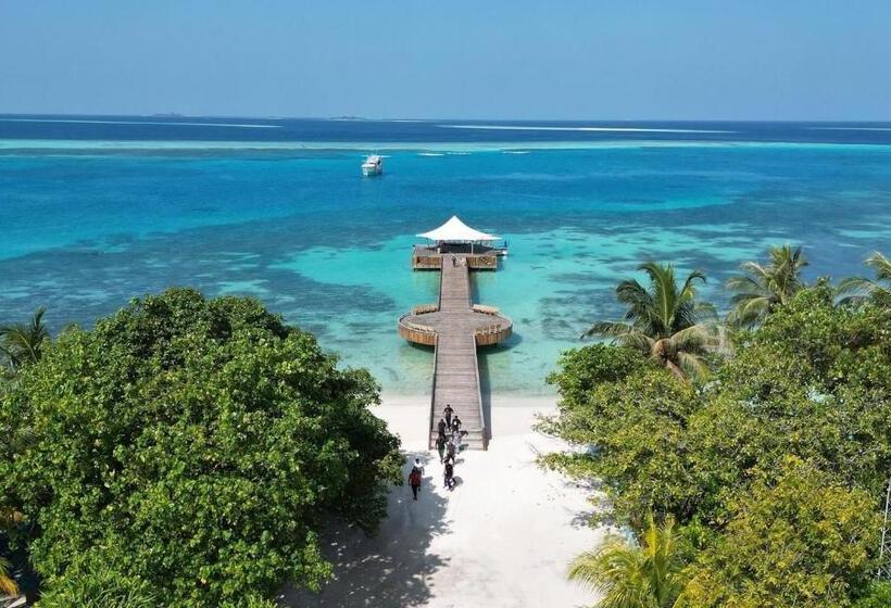 پانسیون Island Scuba Inn