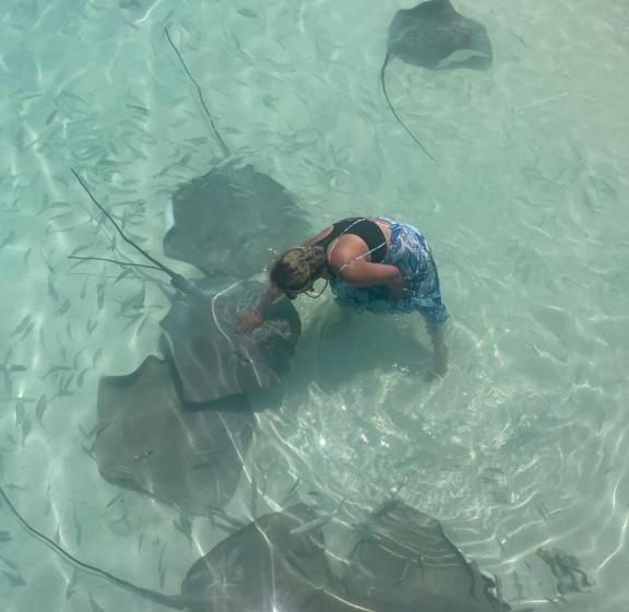 پانسیون Island Scuba Inn