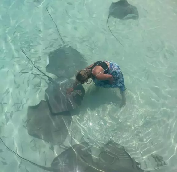 پانسیون Island Scuba Inn