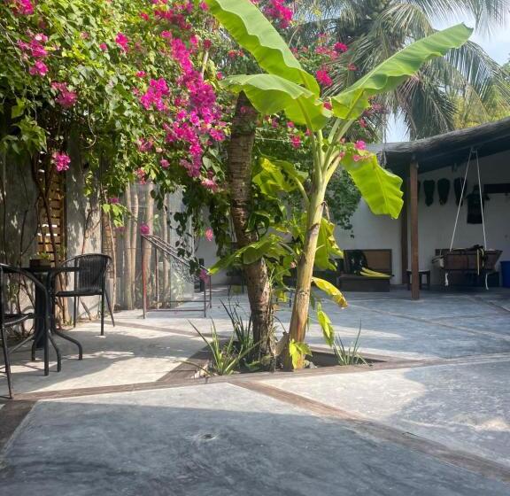 پانسیون Island Scuba Inn