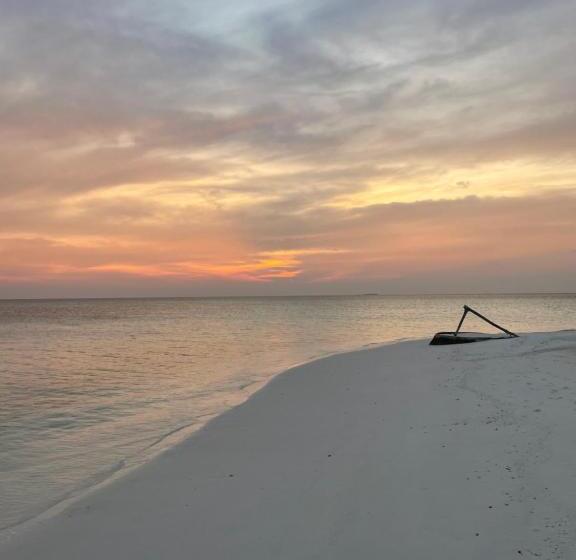 پانسیون Island Scuba Inn