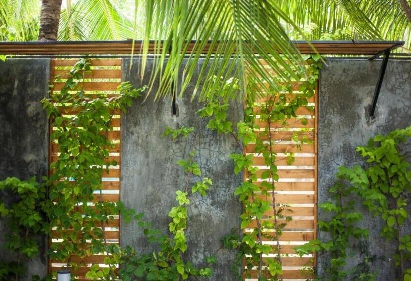 پانسیون Island Scuba Inn