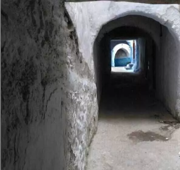 Auberge Riad Buena Vista   Hostel