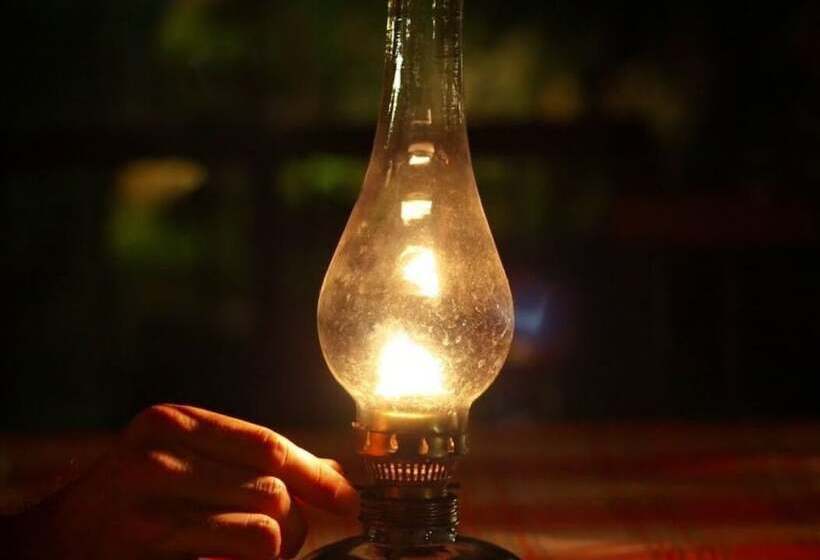 مبيت وإفطار Rosehill House