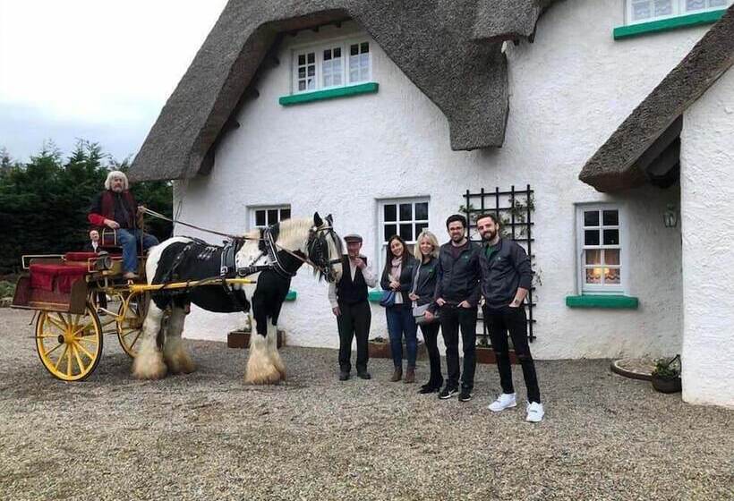 مبيت وإفطار Rosehill House