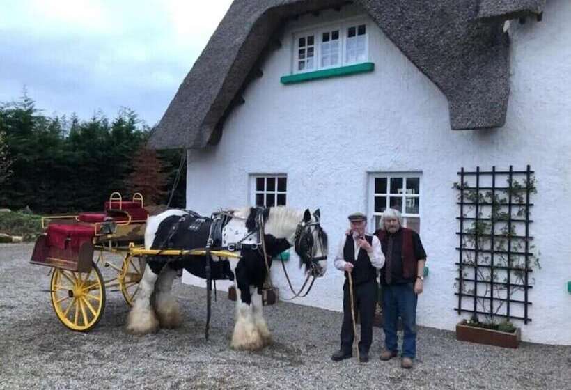 مبيت وإفطار Rosehill House