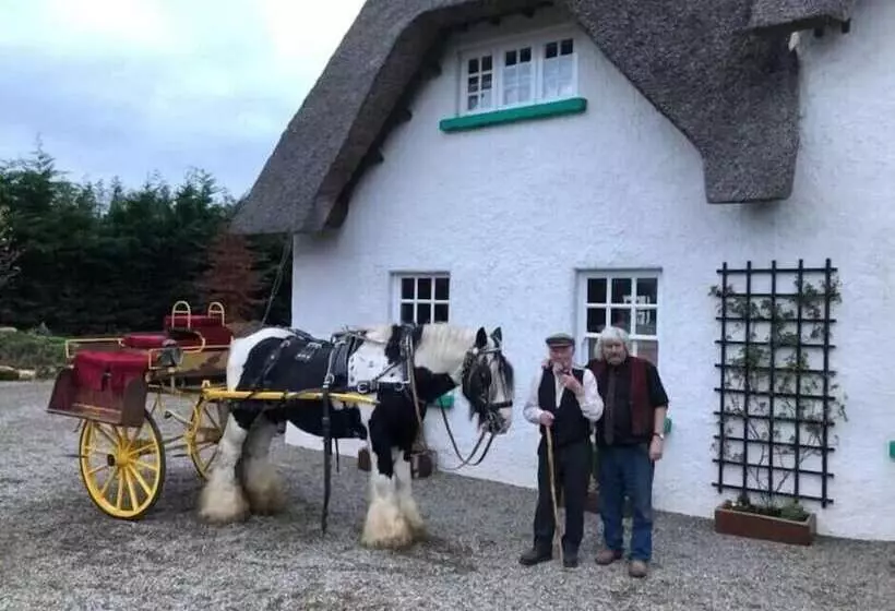 Aamiaismajoitus (B&B) Rosehill House