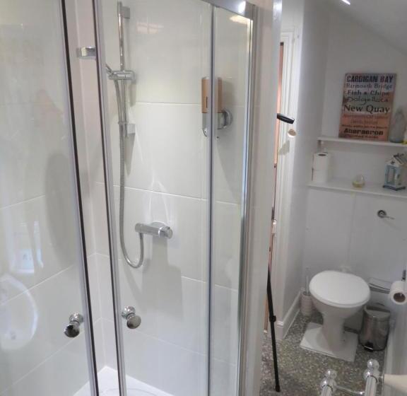 مبيت وإفطار Yr Hen Farcdy