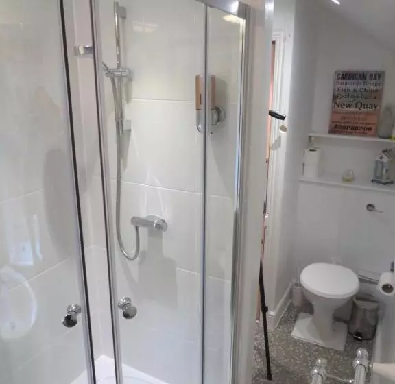 Aamiaismajoitus (B&B) Yr Hen Farcdy