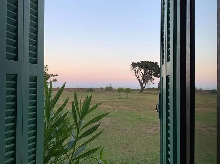 Pinea Mare