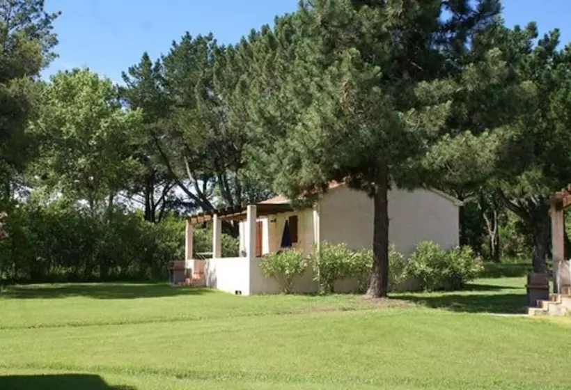 Pinea Mare