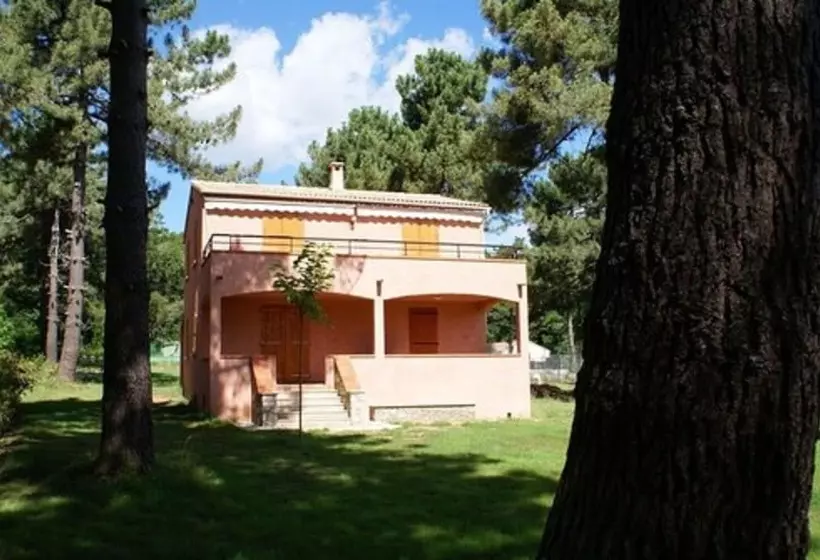 Pinea Mare