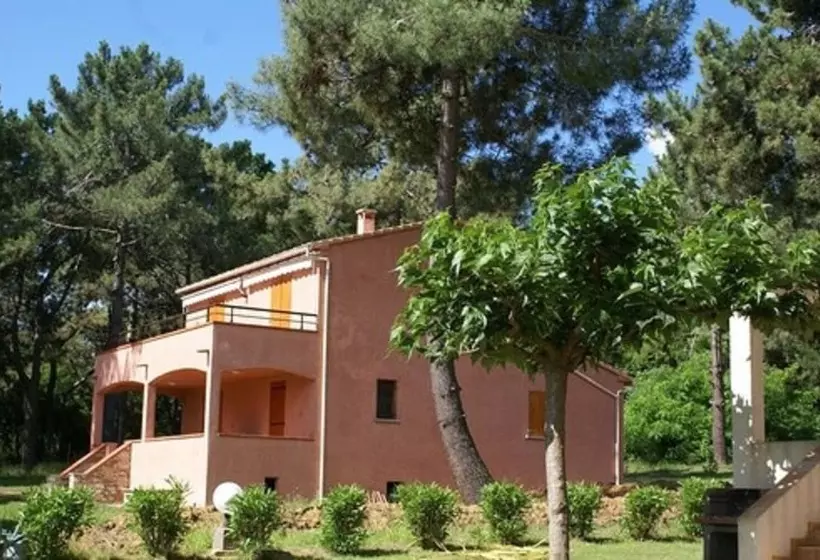 Pinea Mare