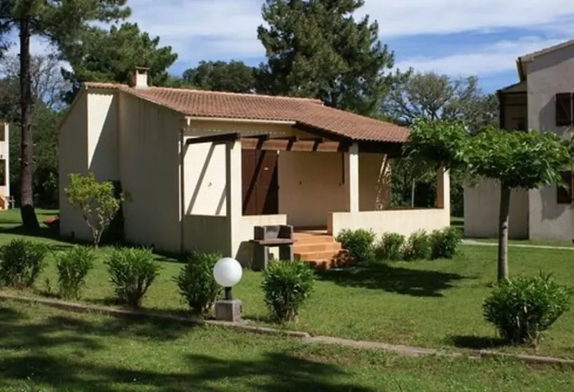 Pinea Mare