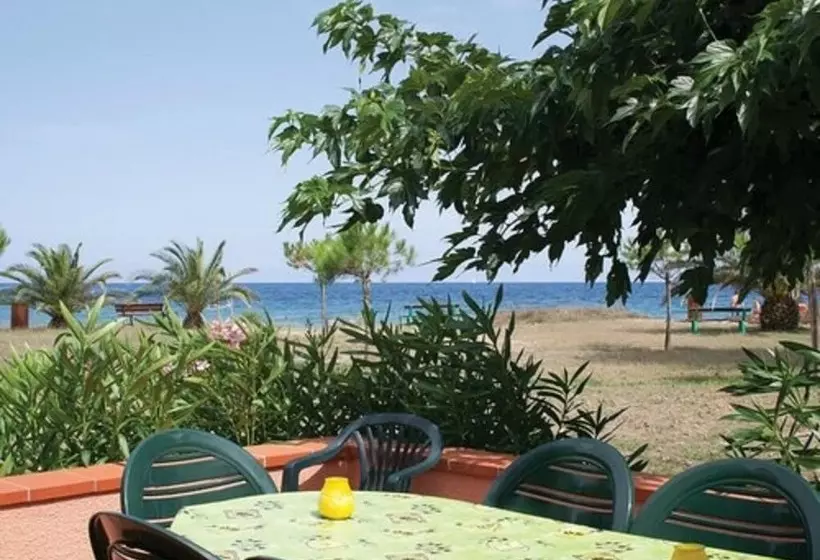 Pinea Mare