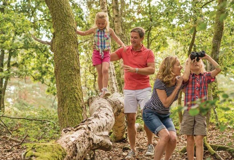 منتجع Tilford Woods Lodge Retreat