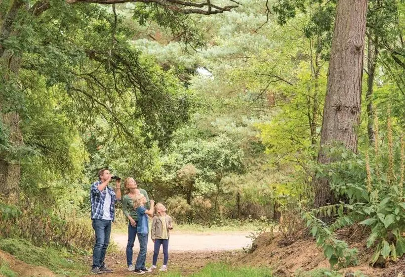 リゾートホテル Tilford Woods Lodge Retreat