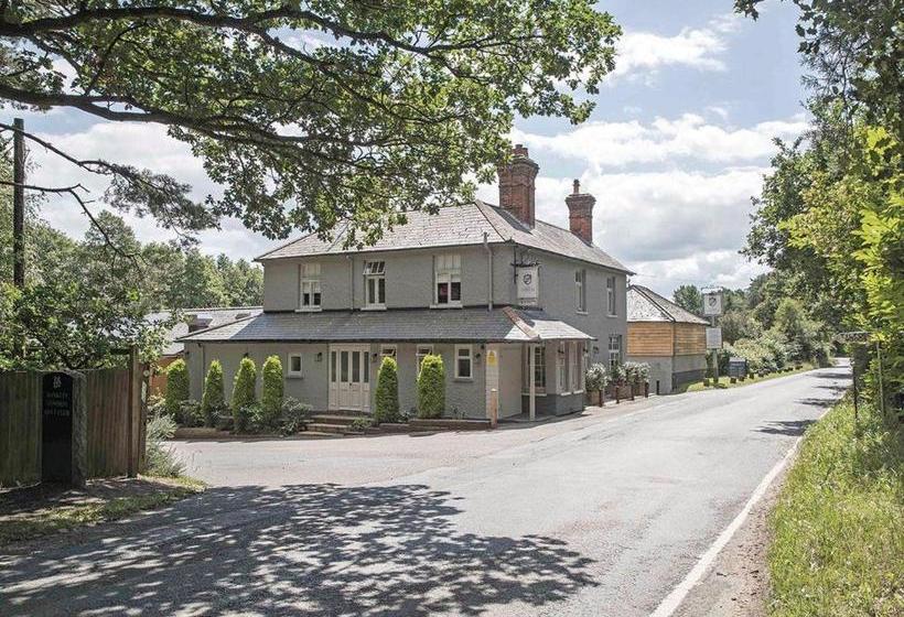 منتجع Tilford Woods Lodge Retreat