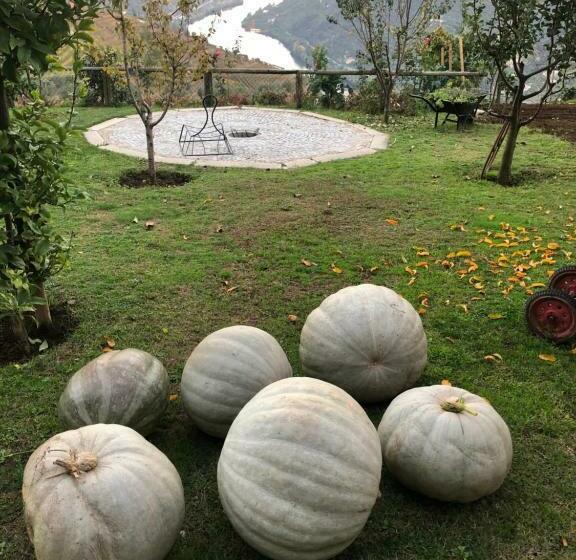 住宿加早餐  Casa Vale Do Douro