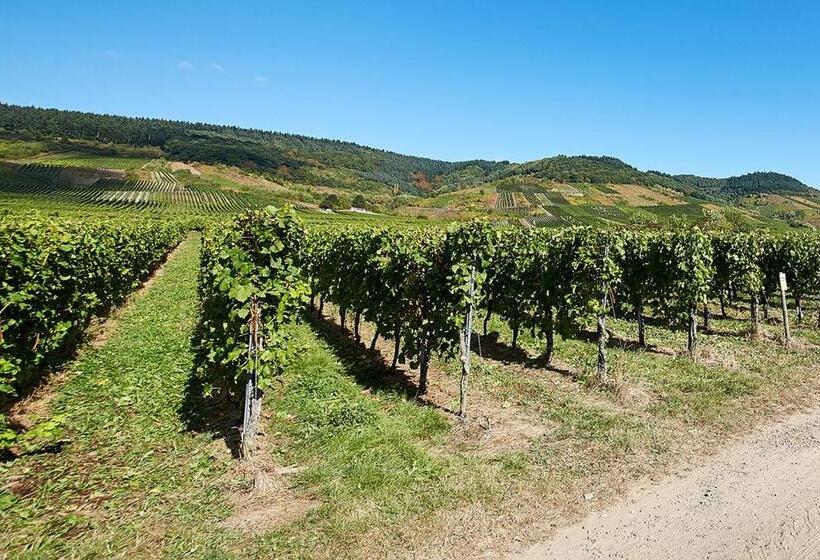 ペンション Gästehaus Auler Hof