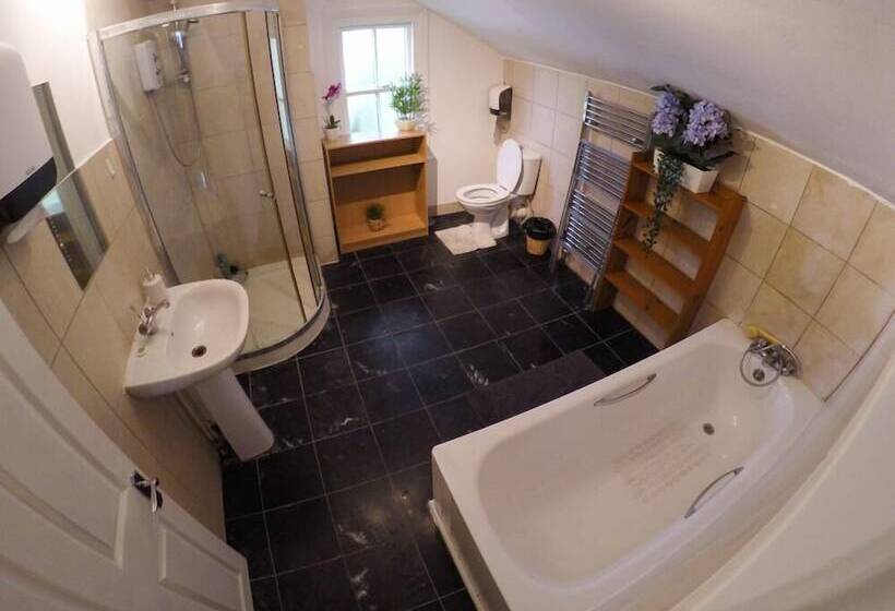 פנסיון Hollybush Row Rooms