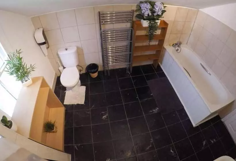 پانسیون Hollybush Row Rooms