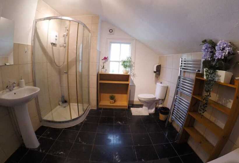 פנסיון Hollybush Row Rooms