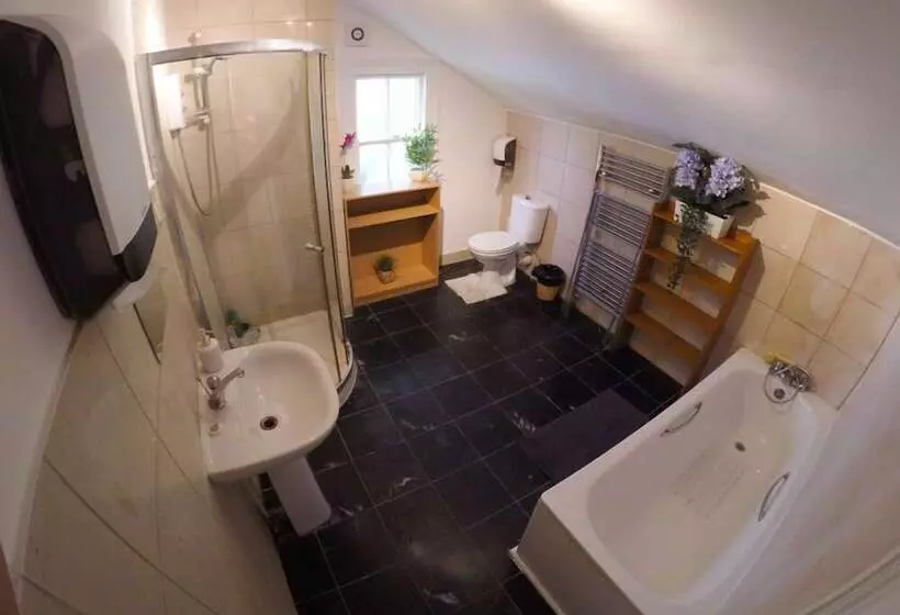 پانسیون Hollybush Row Rooms