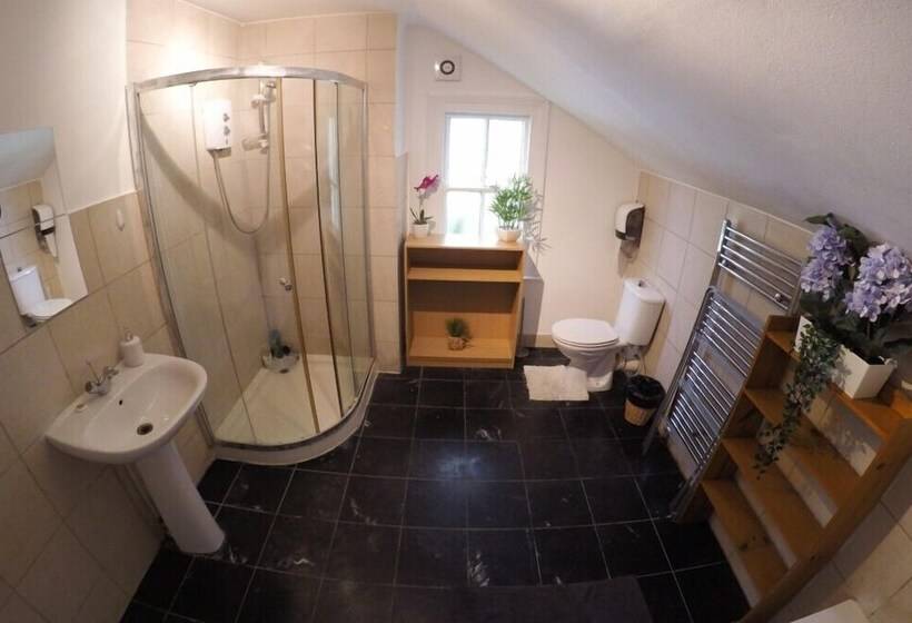 פנסיון Hollybush Row Rooms