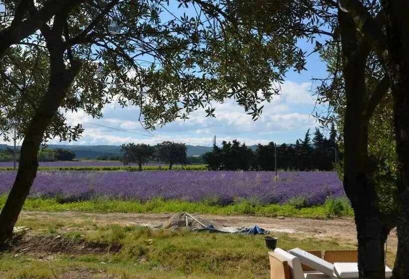 ベッドアンドブレックファースト Mas De L'amme