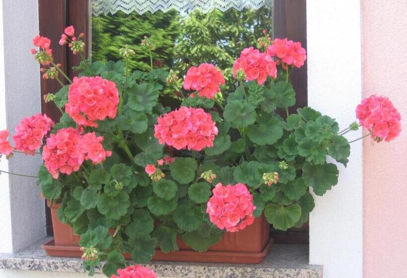 هتل روستایی Tourist Farm Pri Martinovih