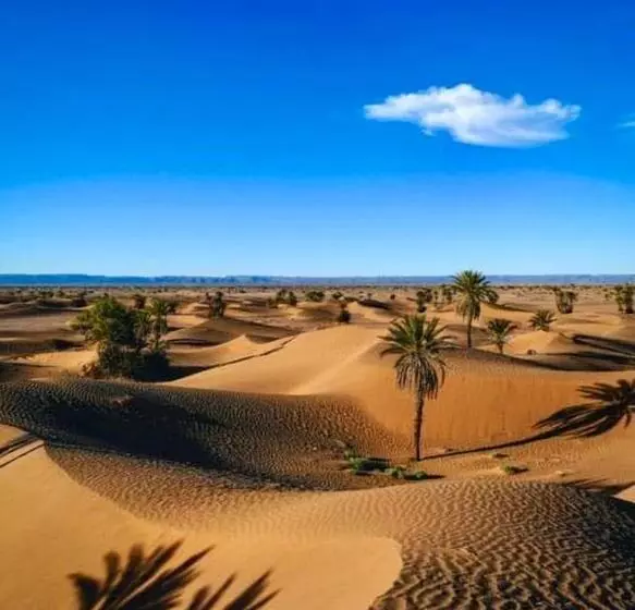 Majatalo Auberge L'oasis Mhamid