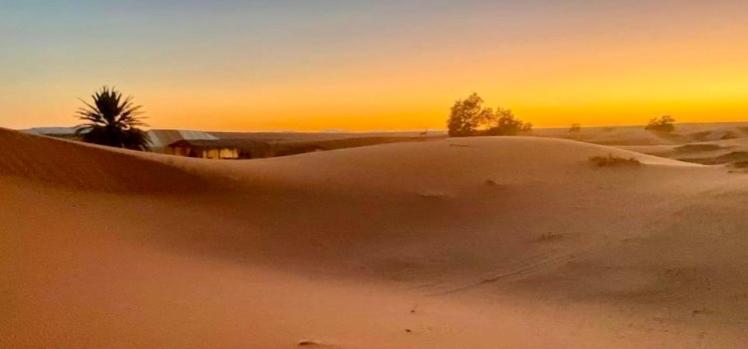 Pension (Hôtel basse catégorie) Auberge L'oasis Mhamid