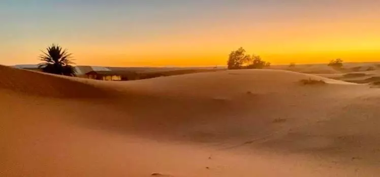 Majatalo Auberge L'oasis Mhamid