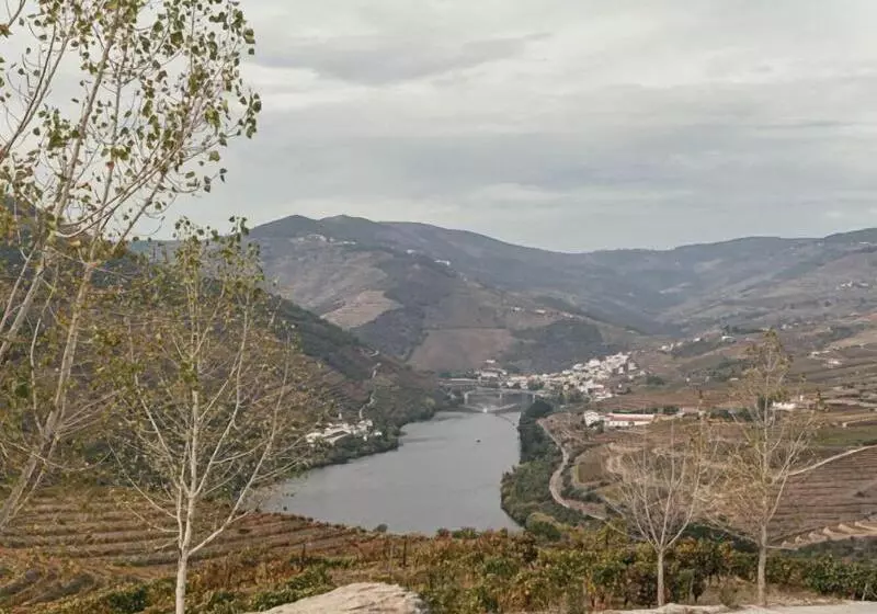 Ventozelo Hotel & Quinta